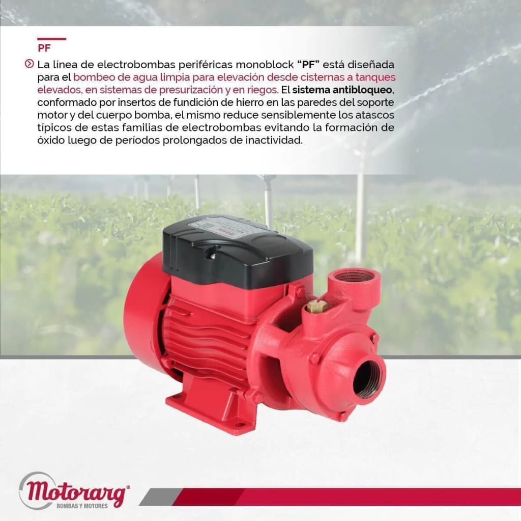 Motorarg PF 100 M - imagen 6